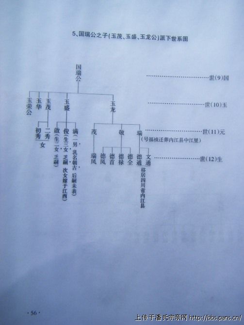 2012\03\01\123187375006543.jpg                                                                      